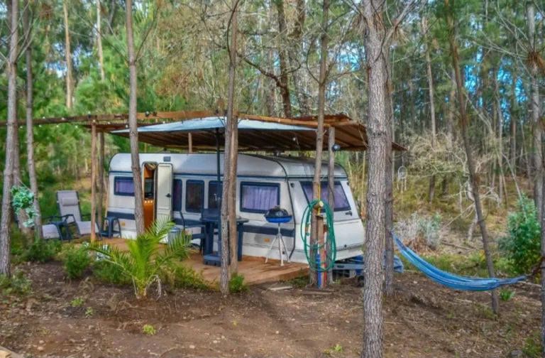 Caravan Baleia